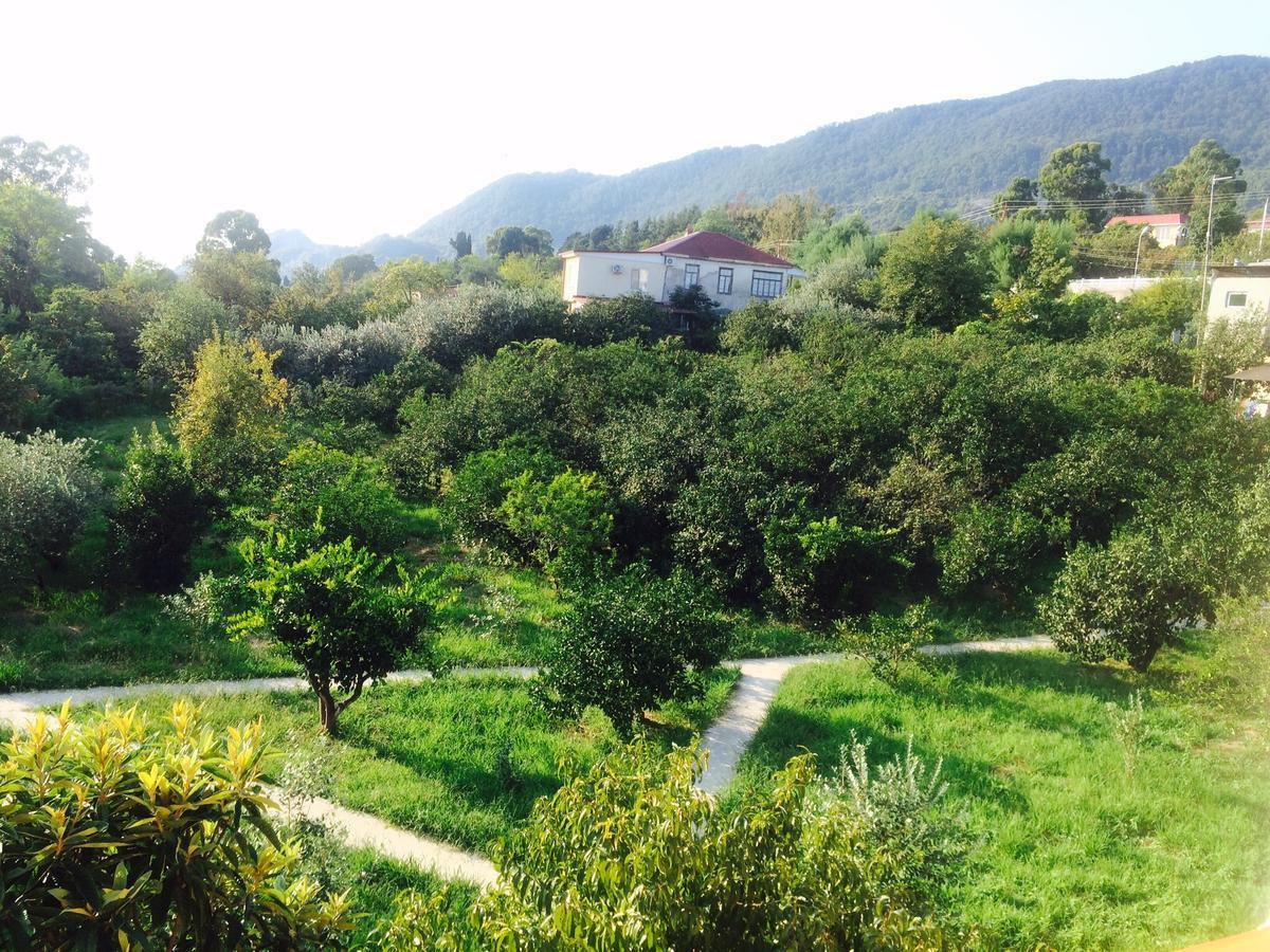Gostievoi Dom Meri New Athos Esterno foto